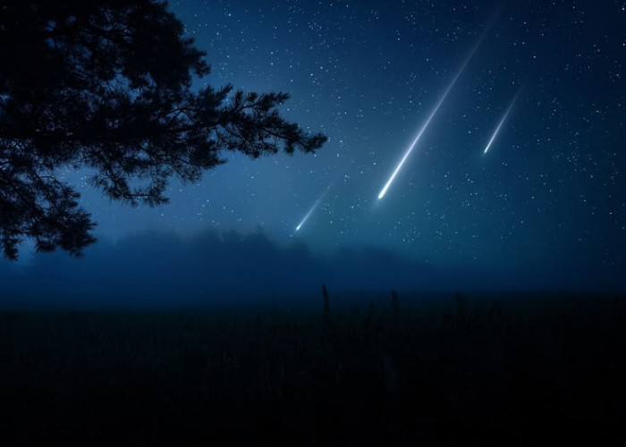 Siap-Siap! Puncak Hujan Meteor Orionid Terjadi 21–22 Oktober, Ini Jam Terbaik Mengamatinya