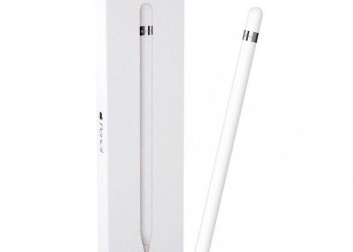 Battle Stylus 2025: S-Pen vs Apple Pencil Pro, Mana yang Paling Presisi buat Gambar dan Kerja?