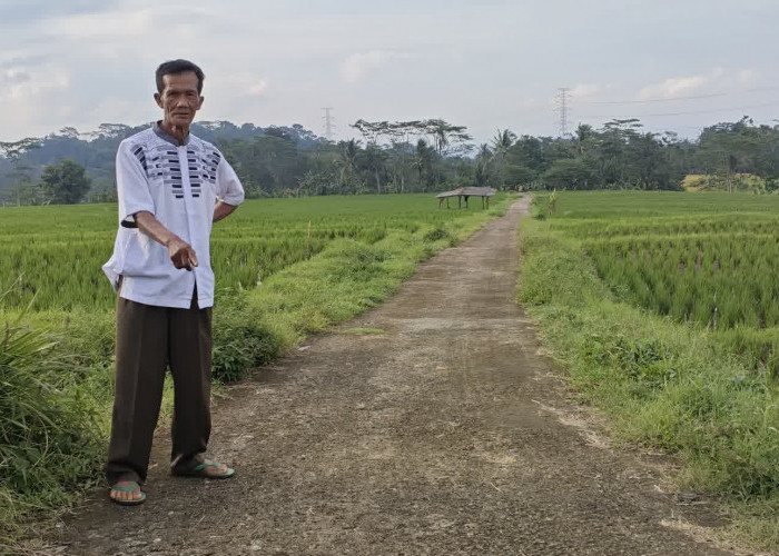 Pembangunan di Desa Paniis, Jalan Usaha Tani Permudah Akses Petani