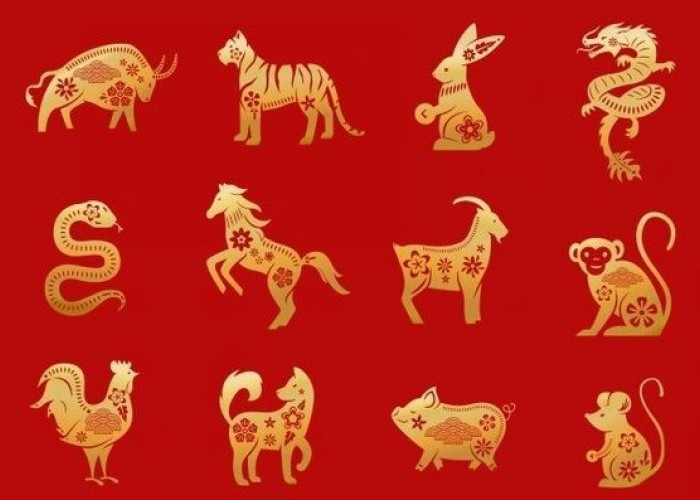Shio Ular di Tahun Kuda Api 2026: Rezeki dan Karir 