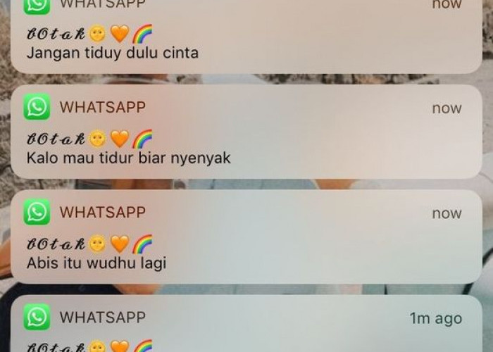 Jangan Biarkan Notifikasi Mengganggu, Hapus Ikon Hijau WhatsApp dengan Gampang