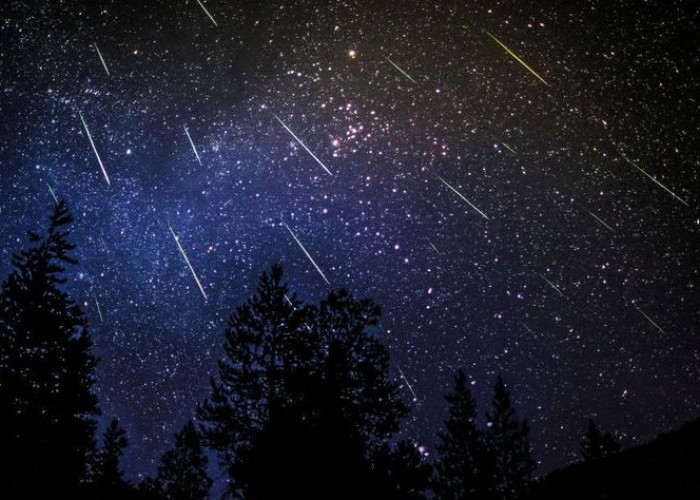 Fenomena Hujan Meteor Perseid 12-13 Agustus: Jadwal, Jam Puncak, dan Cara Melihatnya