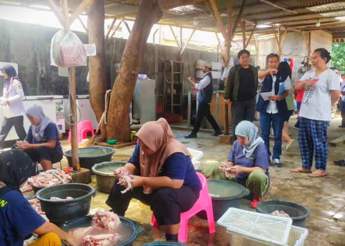 DLH Pastikan Rumah Industri Bebek di Kedungjaya Tak Kantongi Izin, Satpol PP Minta Tutup Sementara