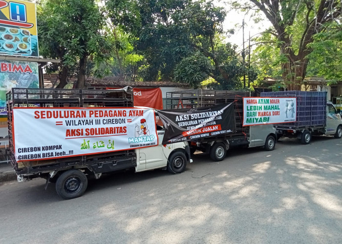 Harga Tembus Rp40 Ribu/Kg, Pedagang Daging Ayam Unjuk Rasa, Butuh Modal Besar dan Sepi Pembeli