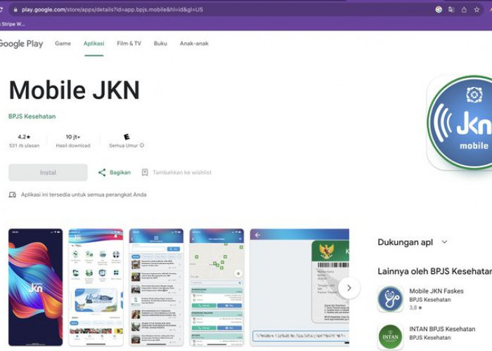 Cara Cek Status Keaktifan Peserta JKN Online Cepat dan Mudah
