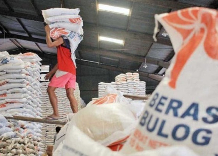 Bansos Beras 2026 Jadi Solusi Tekan Harga Pangan? Ini Penjelasan Bulog Terkait Stok Nasional