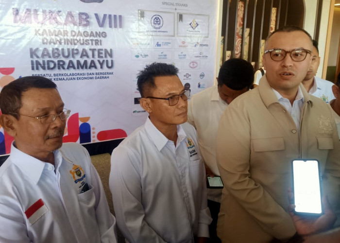 Kadin Ditekan Mampu Berinovasi, Tak Hanya Andalkan Proyek Pemerintah