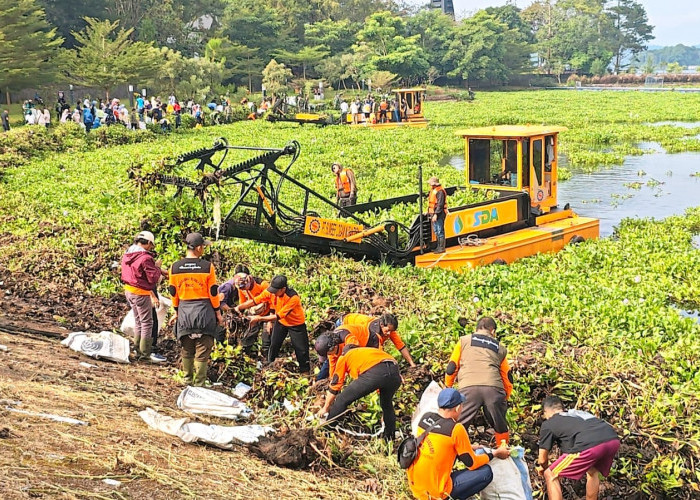 Peduli, KTH Paguyuban Silihwangi Majakuning Turun Tangan Bersihkan Eceng Gondok Waduk Darma