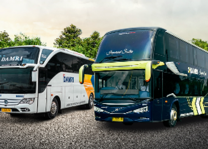 Solusi Mudik Hemat! Naik DAMRI Jakarta- Bali Cuma Rp450 Ribuan,