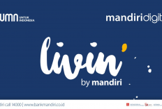 Cara Aktifkan Paylater Bank Mandiri dengan Mudah dan Aman 