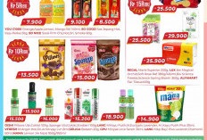 Syarat Promo Tebus Murah Alfamart Terbaru, Bisa Pakai Member atau Gopay?