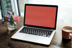 Rekomendasi Laptop Murah untuk Content Creator Pemula