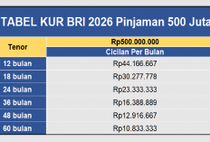 Tabel KUR BRI 2026: Pinjaman 500 Juta, Cicilan Rp 10 Jutaan Per Bulan, Cek Simulasi Angsuran