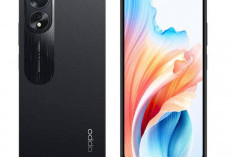 Cuma 1 Jutaan! Mengintip Kelebihan Oppo Seri Entry-Level bagi Pelajar