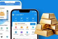 Risiko Investasi Emas Fisik vs Emas Digital: Mana yang Lebih Aman?