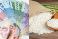 Info Update Jadwal Pencairan BLT atau Bansos Kemensos: Kapan PKH dan BPNT Cair?
