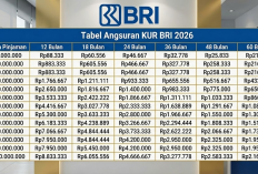 Tabel Angsuran KUR BRI 2026 Terbaru: Pinjaman Rp 100 Juta dan Syarat Pengajuannya