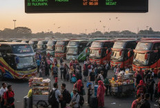 Segera Dibuka 22 Februari 2026, Pendaftaran Mudik Gratis DKI Jakarta, Tujuan, Syarat, serta Cara Daftarnya