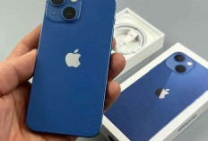 Cari iPhone Baru Garansi Resmi? Ini 3 Pilihan iPhone di Bawah 9 Jutaan di iBox