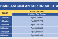 Simulasi cicilan KUR BRI 50 Juta: Suku Bunga 6%, Cicilan Mulai Dari Rp 1-4 Jutaan Per Bulan
