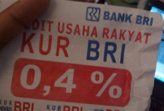 Cara Pengajuan KUR BRI 2026 Agar Cepat Cair dalam 3 Hari Kerja