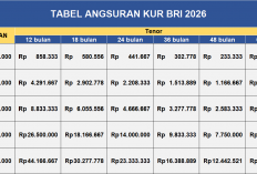 Tabel Angsuran KUR BRI 2026: Pinjaman Rp 10-500 Juta, Simak Suku Bunga dan Simuasi Cicilan