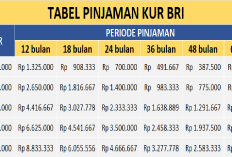 Angsurannya Rp 325 Ribu per Bulan, Simulasi Cicilan KUR BRI 2026 Tabel Pinjaman 15 Juta