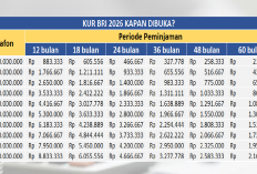 KUR BRI 2026 Bisa Pinjam Hingga 100 Juta Tanpa Agunan, Kapan Dibuka?