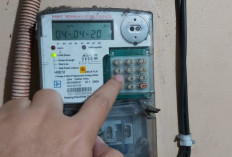 Daftar Tarif Listrik Mei 2026: Cek per kWh Non-Subsidi dan Subsidi
