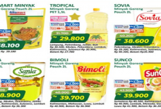 Promo JSM Alfamart Minggu Ini, Minyak Fortune Rp 37.500, Mie Instant Rp 3.300, Berlaku 17-22 Februari 2026