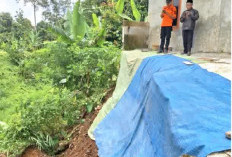 Hujan dan Angin Kencang Sabtu Sore, BPBD Catat 10 Lokasi Terdampak Bencana 