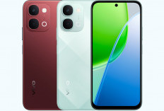Pilihan Memori dan Harga vivo Y31t: Varian Mana yang Paling Layak Beli?