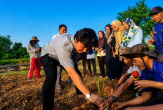 Aldyan Dorong Kemandirian Pangan, Sulap Lahan Tidur Jadi Budidaya Talas Bogor