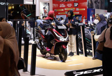 IIMS 2026 Tinggal Hitungan Hari, Mobil China Serbu Pasar Indonesia