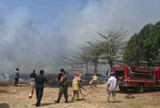 Api Lahap Lahan Kering di Talun, SPBU dan Gudang Yamaha Ikut Terancam