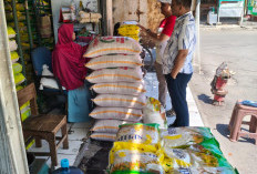 Bulog dan Pemda Perkuat Distribusi Beras SPHP, Stok Beras Nasional Capai 5,3 Juta Ton