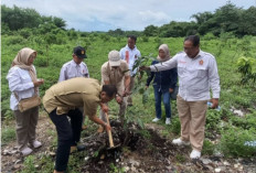 Komitmen Terhadap Lingkungan, Gerindra Kota Cirebon Tanam Pohon