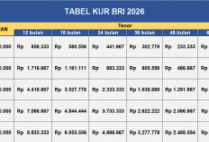 Tabel KUR BRI 2026: Pinjaman 10-100 Juta, Cicilan Mulai dari Rp 216 Ribuan per Bulan