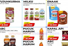 Hanya Sampai Besok! Katalog Promo Alfamart: Diskon Gila Susu Bayi dan Kebutuhan Rumah Tangga