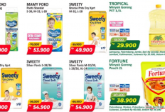 Katalog Promo JSM Alfamart 13-15 Maret 2026, Susu Bubuk Rp 15.800, Popok Bayi Rp 41.900