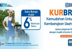 Bungan Hanya 6%, Syarat dan Ketentuan Pengajuan KUR BRI 2026