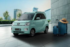 Rekomendasi Mobil Listrik Bekas di Bawah 100 Juta untuk Taksi Online