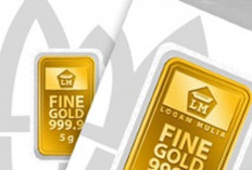 Update Harga Emas Antam Hari Ini 19 Januari 2026: Pecah Rekor, 0,5 Gram Tembus Rp1.401.500