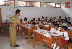 Mengenal Rincian Materi Tes Substantif PPG Calon Guru 2026: Literasi, Numerasi, dan Bidang Studi