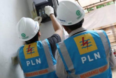 Tarif Listrik PLN Agustus 2026: Cek Penyesuaian Subsidi dan Non-Subsidi Terbaru