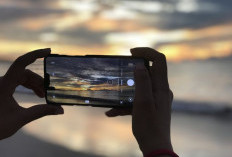 ﻿Bikin Foto Profesional: Panduan Lengkap Menggunakan Mode Pro di Smartphone Tanpa Perlu Kamera DSLR