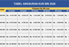 Pinjaman Modal Usaha Rp 500 Juta, Angsuran Tabel KUR BRI 2026 Hanya Rp 10 Jutaan per bulan
