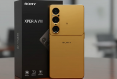 Bocoran IMEI Terungkap! Sony Siapkan Xperia 1 VIII dan 10 VIII untuk Rilis Global 2026