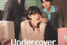 Sinopsis Drama Korea Undercover Miss Hong, Drama Rom-com Terbaru Park Shin Hye