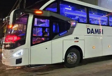 Cuman 80 Ribu Rupiah Kamu Bisa Bepergian, Jadwal Damri Kuningan-Bandung, dan Harga Tiket Terbaru